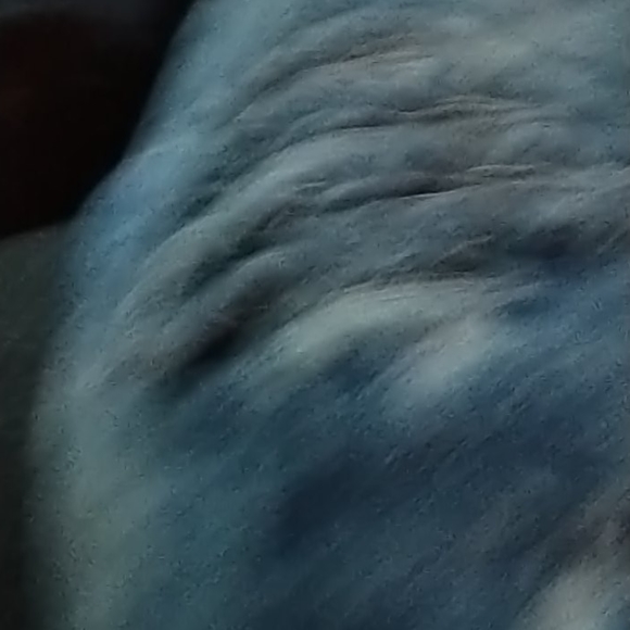 Fento - Picture 3 of 4